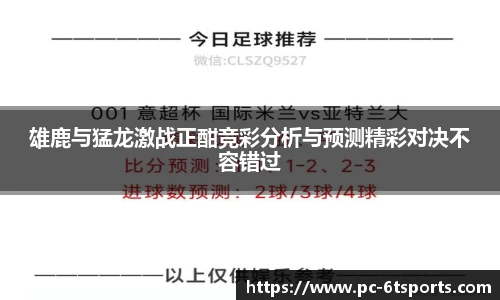 6t体育官方网站